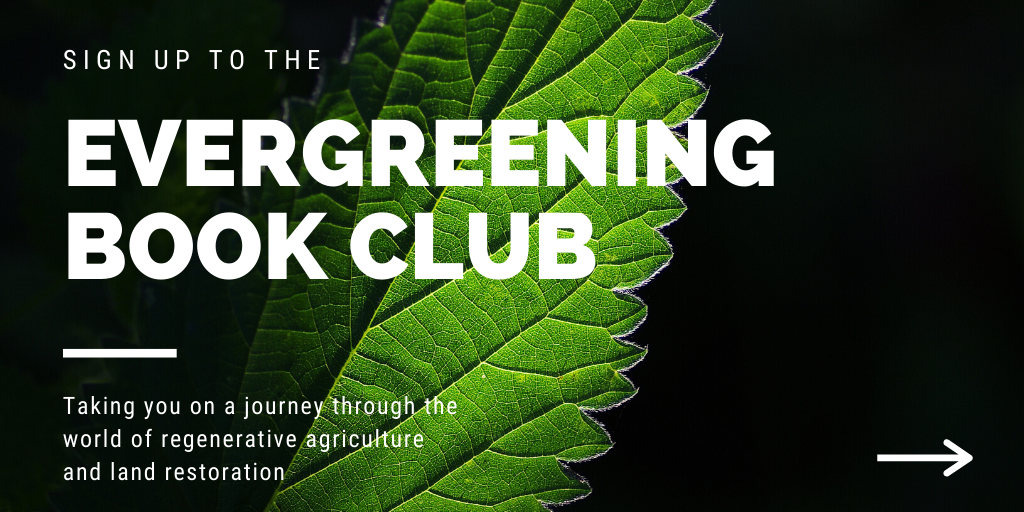 evergreeneing-book-club