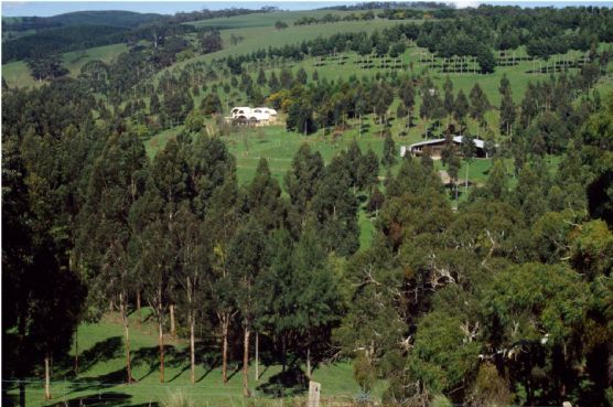 bambra-agroforestry-farm