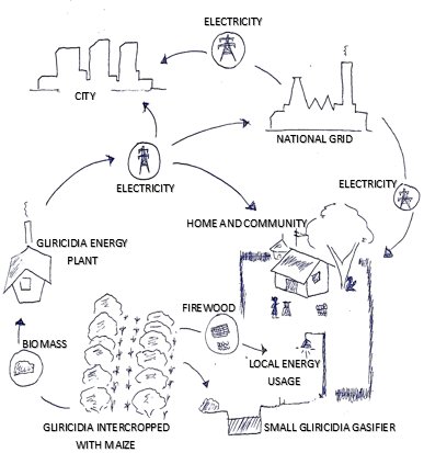 intercrop-food