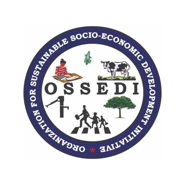 Organisation for Sustainable Socio-Economic Development initiative (OSSEDI)