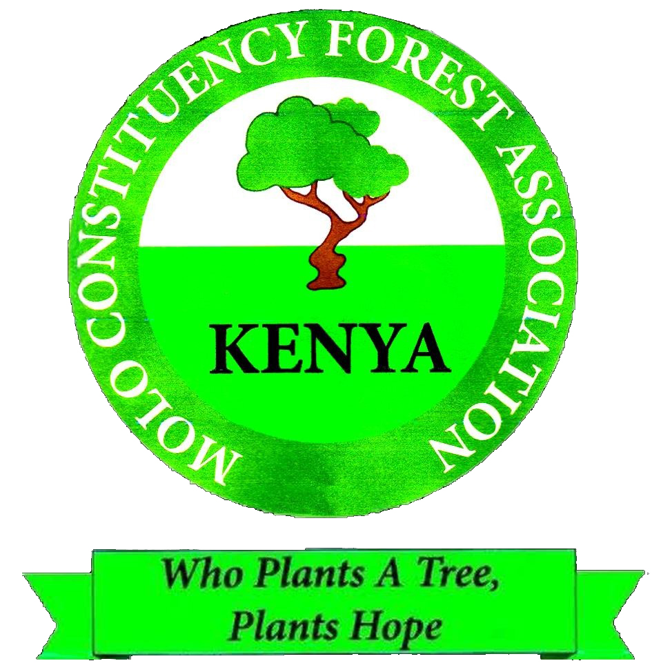 Molo Constituency Forest Association