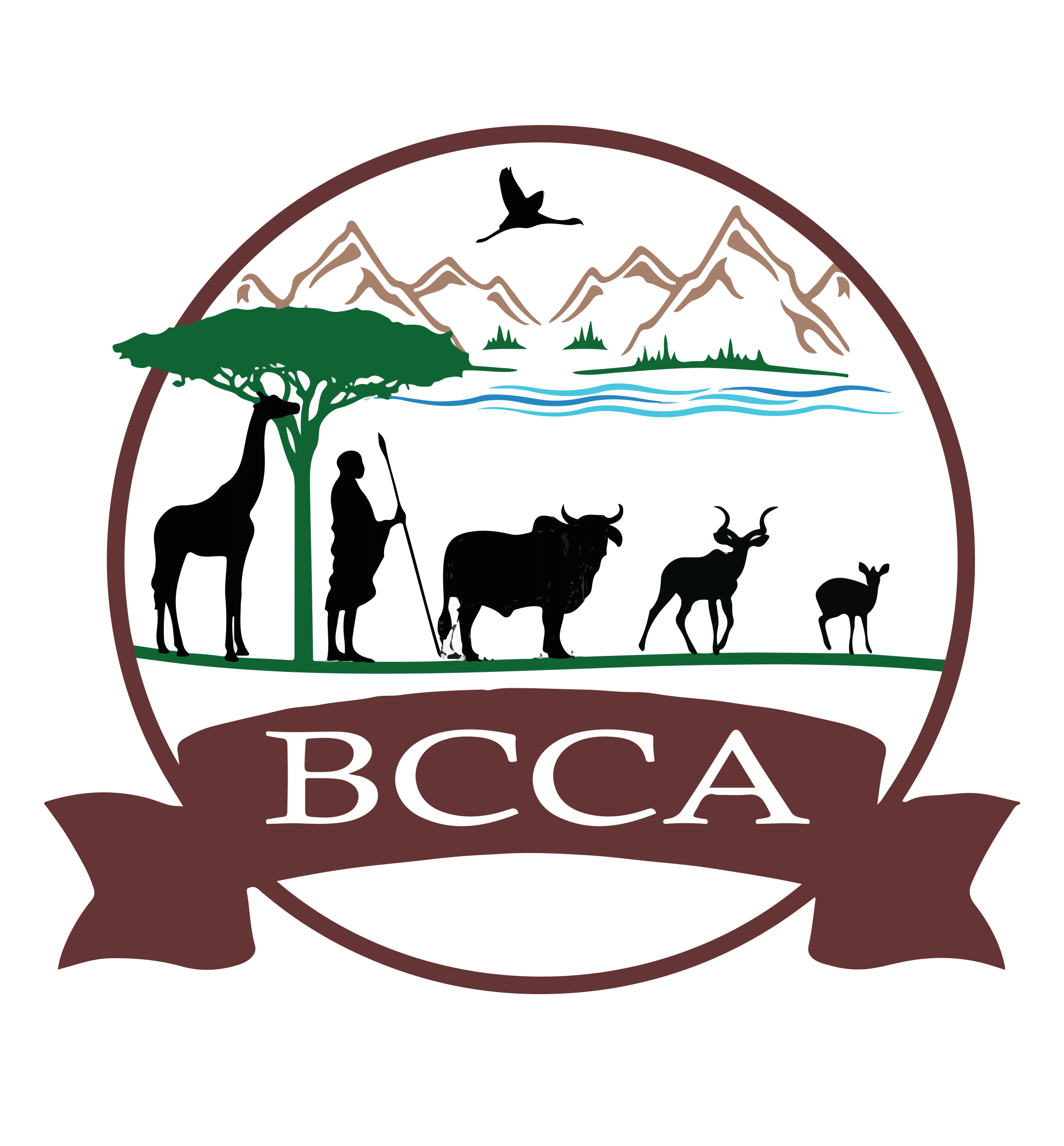 BCCA High-1